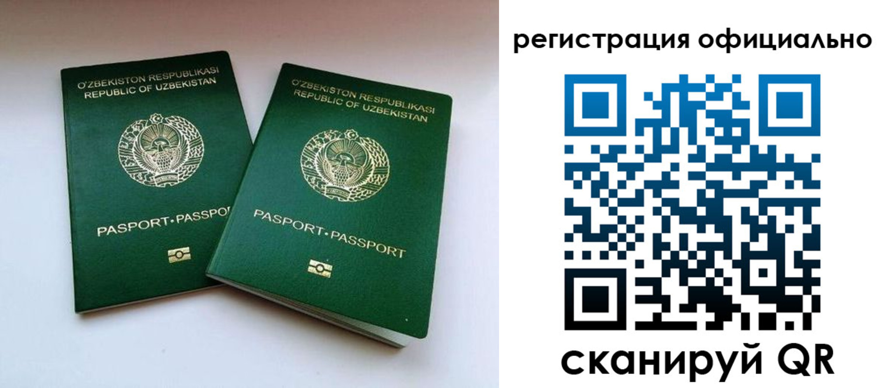 временная регистрация надежно в Гатчине